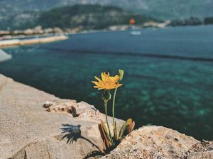 Read more about the article Are you Living in the Moment?