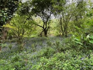 Read more about the article Are You Missing Opportunities?