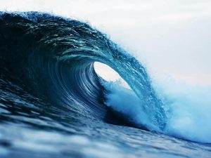 Read more about the article Are you on the Dopamine Wave ?