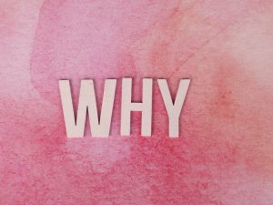 Read more about the article Do you know The Power of “Why?”
