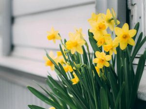 Read more about the article How can you become more content?