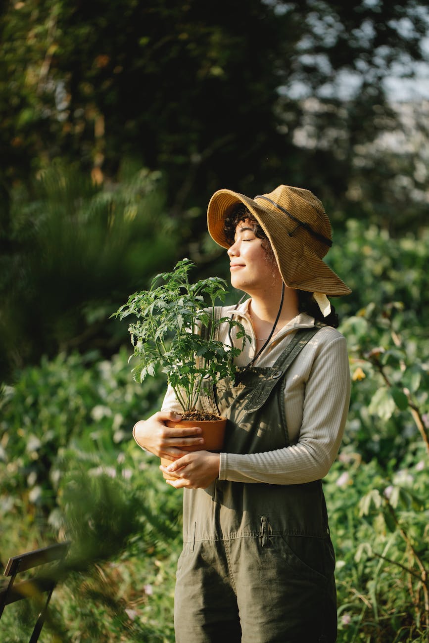 smiling ethnic gardener with plant on sunny day